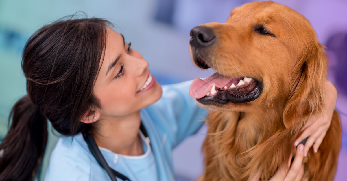 Supporting Pet Cancer Awareness Month with Reliable Logistics that Empower Breakthroughs